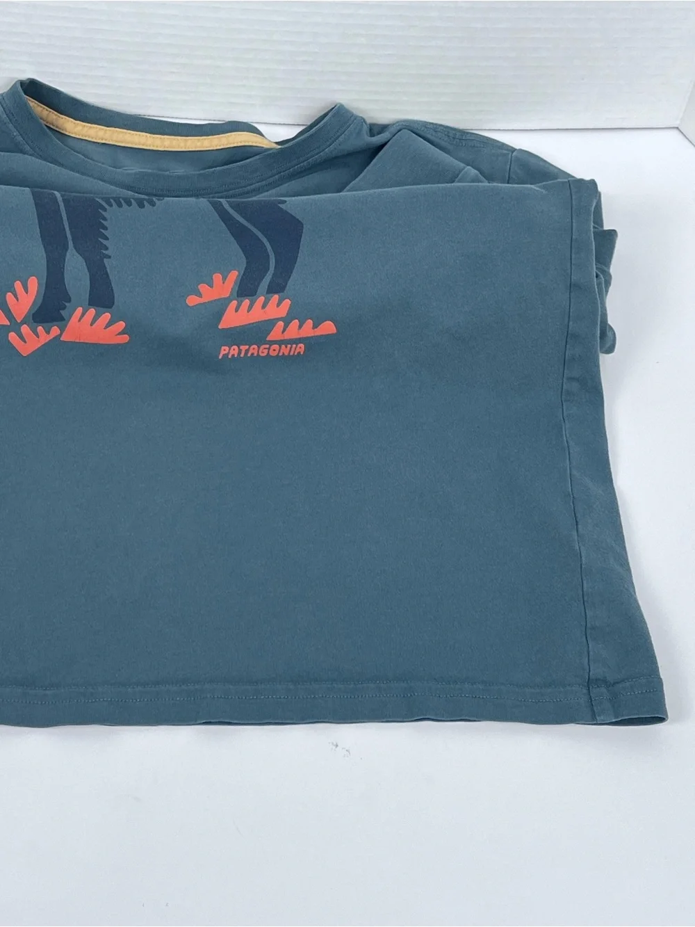 Patagonia Boy's 100% Organic Cotton LLama Graphic Print Long Sleeve Tee Size L